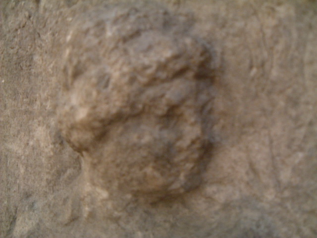 Female Gladiators - Detail