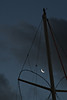 Image: Mast and Moon in the Early Eve