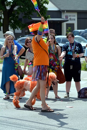 OMG, an orange poodle at Indy Pride! | You never know what y… | Flickr