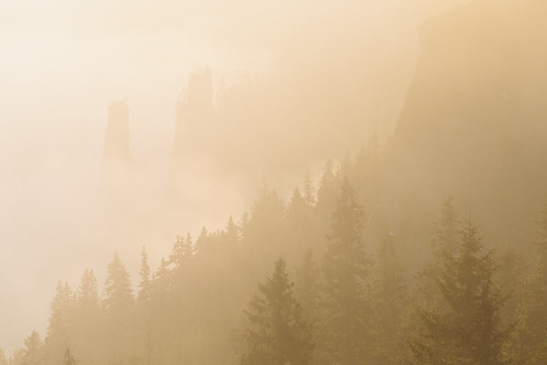 nikon d810 70200mm landscape sunrise morning fog clouds forest trees mist misty nature natural mountain ceahlau massif romania europe outdoor