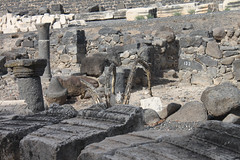 Capernaum - 14