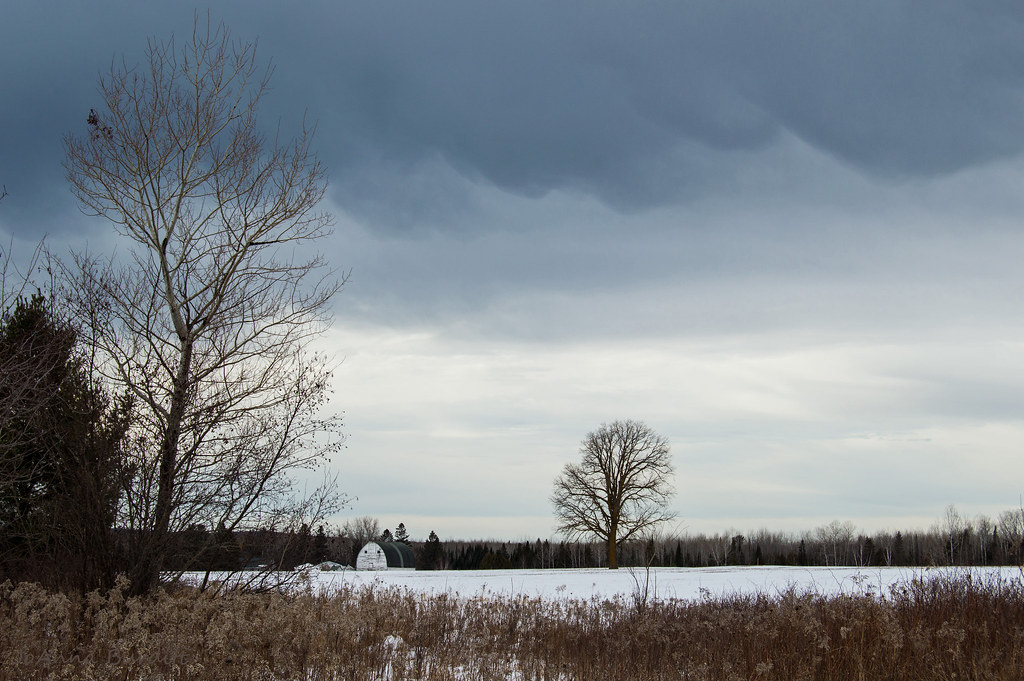 February Skies | Odd clouds for February as warm air starts … | Flickr