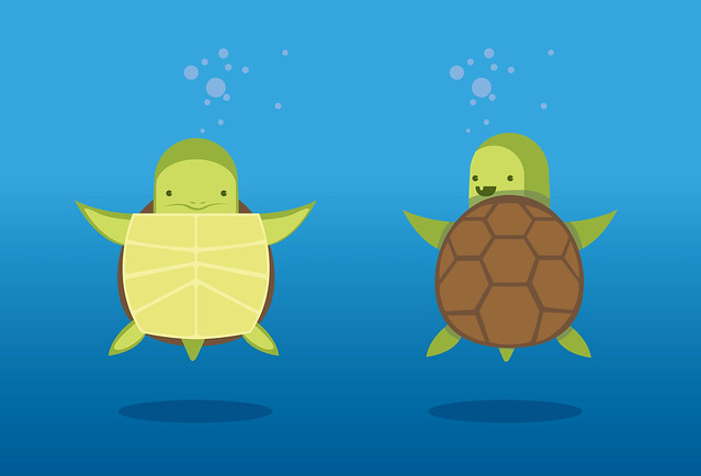 Turtle characters underwater illustration