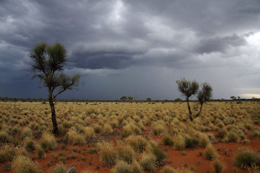 Пустыня гибсона австралия. Great Victoria Desert Австралия. Песчано солончаковая пустыня в Австралии. Заповедник Танами Дезерт Австралия.