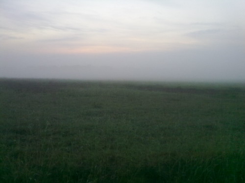 Misty Morning by balajijegan, All these pictures were taken on Sunday when I went for a run near Hessarghatta. Mist covered, lots 