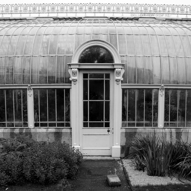 the greenhouse