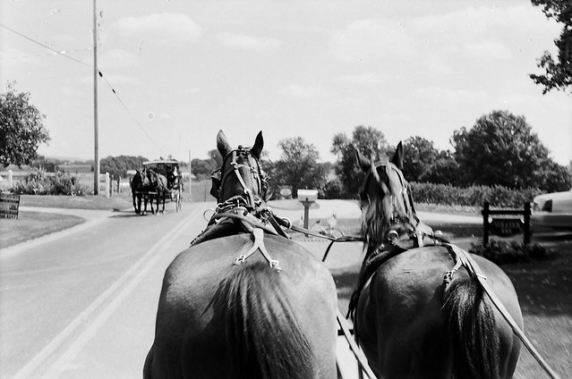 PA Wagon Horses on Road