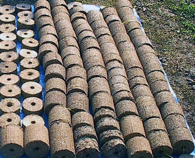 Clean briquettes from waste