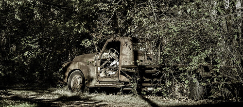 rust shadows abandonedvehicle overgrowth weathered unpaintedmetal oxidation neglect deterioration leaves nodoor trees pickuptruck exposedmetal hss