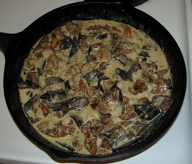 Wild Mushroom Dinner: Scaberstalks & Hedgehogs in Cream Sauce