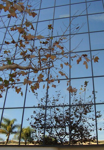 Fall Reflections. | by Esther Spektor - Thanks for 22 million views.