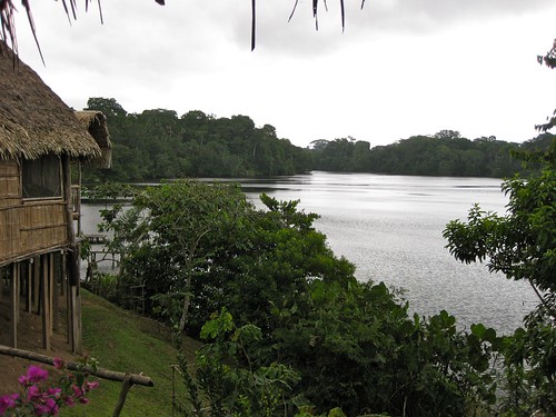 water landscape ecuador amazon ✔