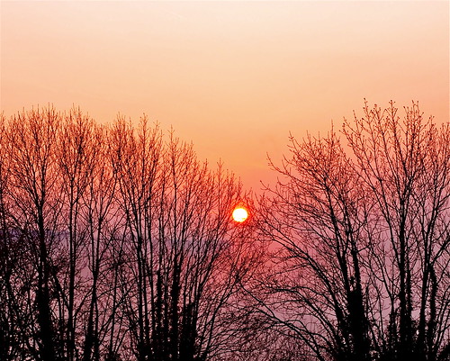 sunlight sunrise hometown cappoquin degct