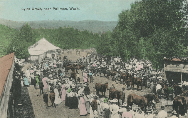Lyles Grove, 1909 - Pullman, Washington