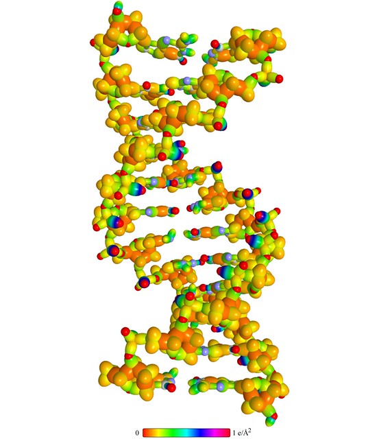 DNA (Deoxyribonucleic acid) Molecular Structure