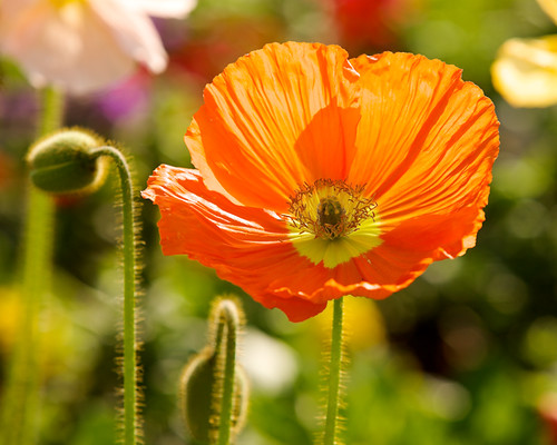 Unconditional Beauty by Don Baird