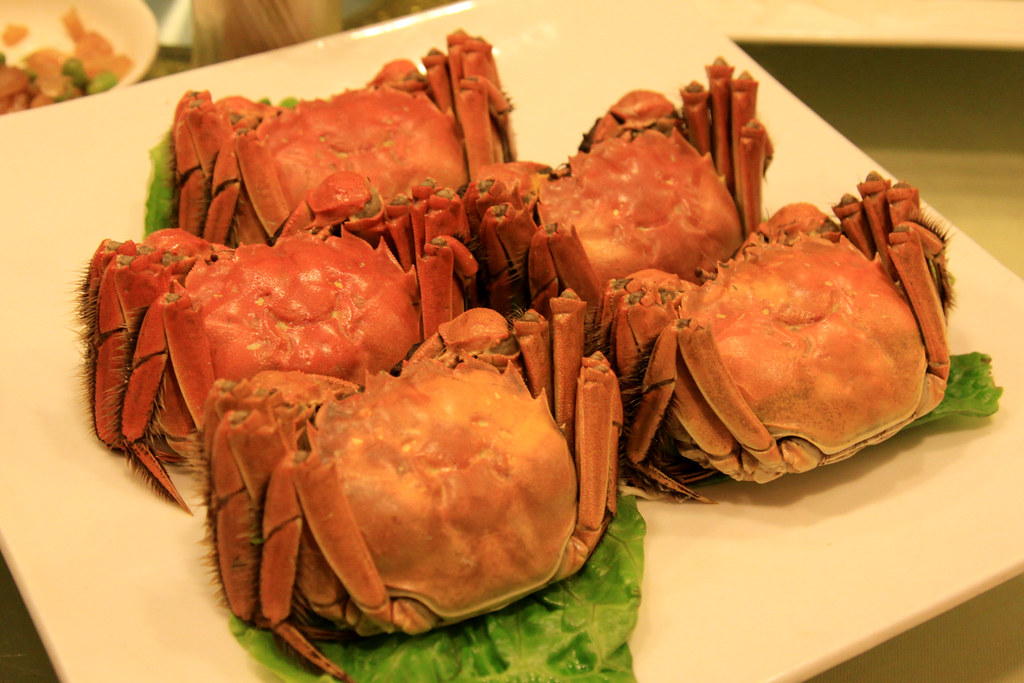 Shanghai hairy crab