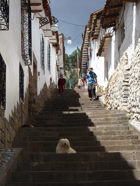 Perro & street, Cusco