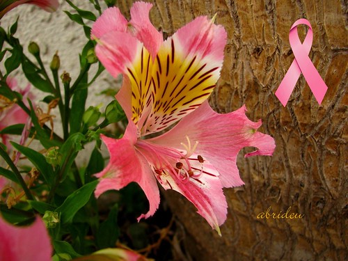 Pink Awareness by abrideu