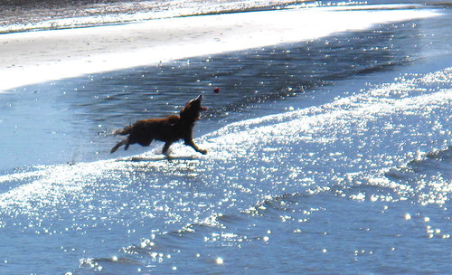Catch! | by glasnevinz