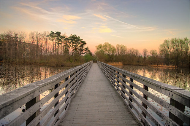 Pedestrian Bridge, Looking East at Sunrise Valley Wetlands Park - Reston, VA | Near Future Site of Herndon-Monroe Metro Station