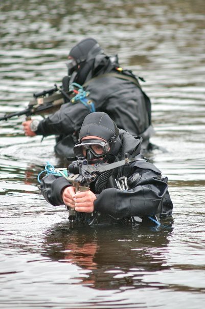 Irish Army Ranger Wing | Flickr