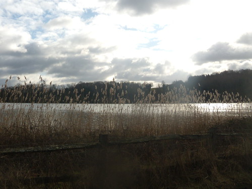 Reeds 'n' reservoir Balcombe round (winter)