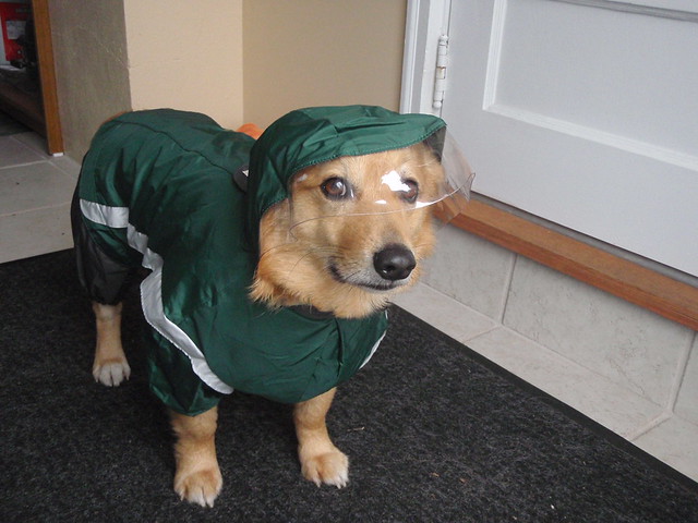 Ein/Raincoat with Hood