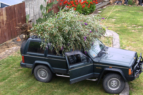 newzealand garden bush jeep transport waikato root aotearoa paeroa stationroad
