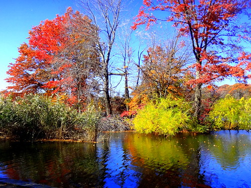 newyork brooklyn dmitriyfomenko image sky clouds prospectpark autumn fall foliage reflection trees