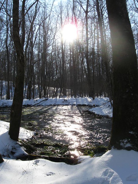 Hall Spring | Hall Spring or Werewolf Spring as known by the… | Flickr