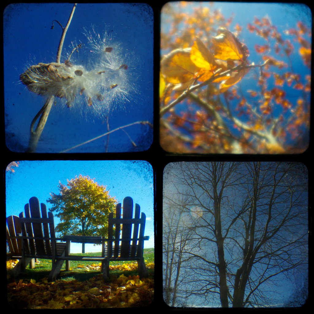 4 seasons collage