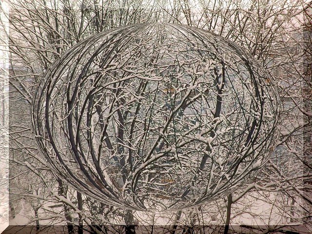 Winter from my window-Tél az ablakból