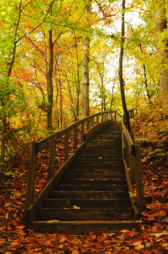 bridge autumn orange green fall colors leaves trail