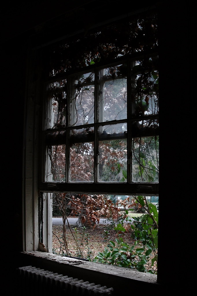 Windows bring the outdoors in | Abandoned house at the Charl… | Flickr