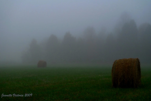 mist fog northcarolina haystacks hay haybale lexingtonnc leicadlux4 jeanettevictoria