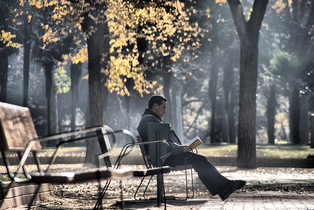 Lector en el Parque