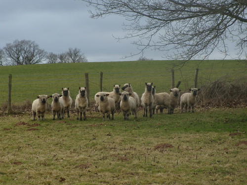 As ewe were Stop staring at me. OK? Witley to Haslemere
