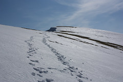 The snow slope on Glas Tulaichean