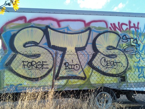 sts forge bios cest | by 909951graff