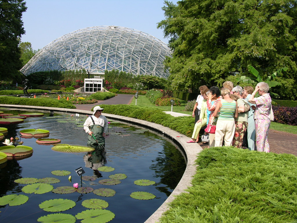 Water Lily Demonstration Missouri Botanical Garden Flickr