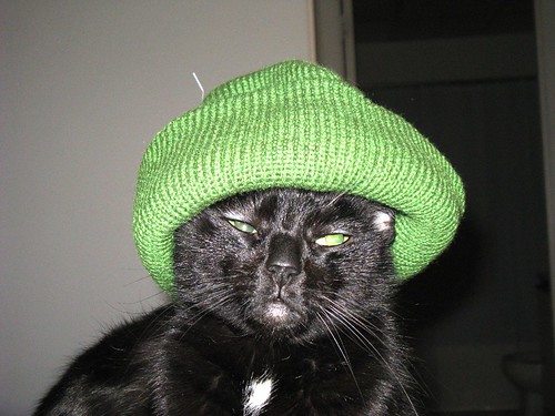 Ready for St. Patrick's Day | We bought Parsnip a new green … | Flickr