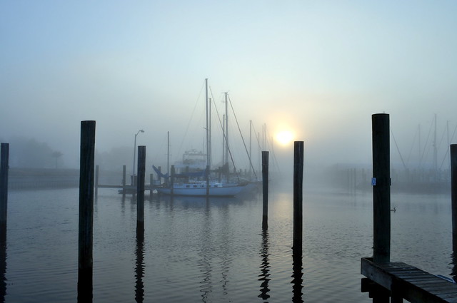 Early morning fog @ Port St. Joe Marina