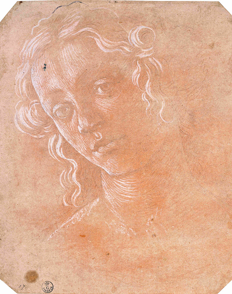 Filippino Lippi: Head of a Young Woman