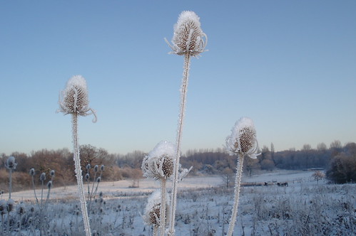 Winter Scene | by Bryan Garnett Photography