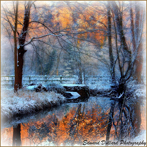 A WINTER REFLECTION