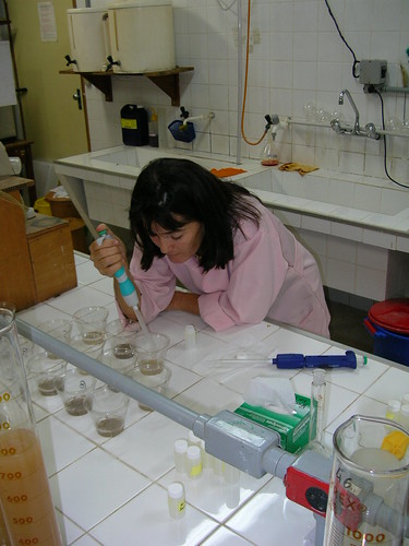 Wed, 08/10/2005 - 19:21 - Tania Pimentel conducting soil chemical analyses of the 25-ha plot soils at the INPA Soils Lab; August 2005. Credit: Kyle Harms.