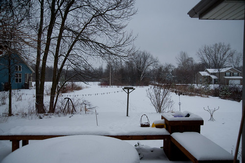 usa snow illinois gurnee december2009