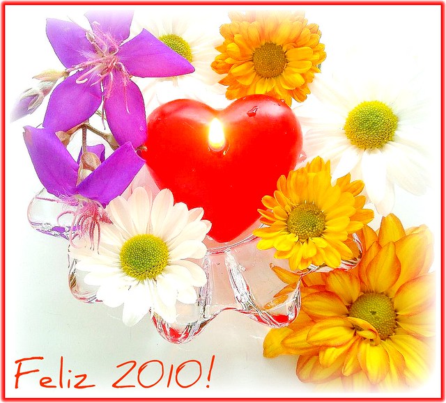 2010, o ano do Amor!