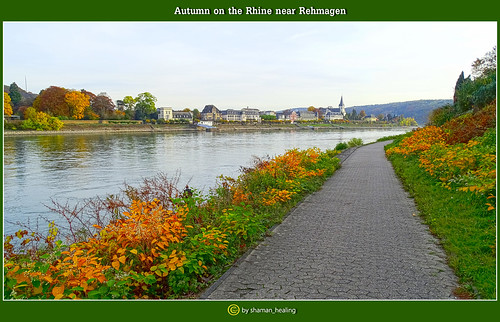 herbst autumn farben colors landschaft landscape blätter bäume rheinlandpfalz oberwinter wasser fluss 2016